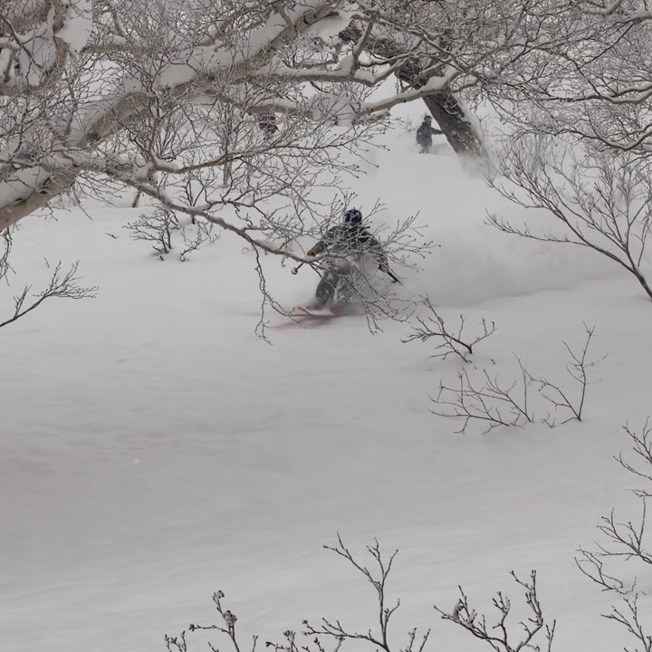 Pendii innevati in Giappone